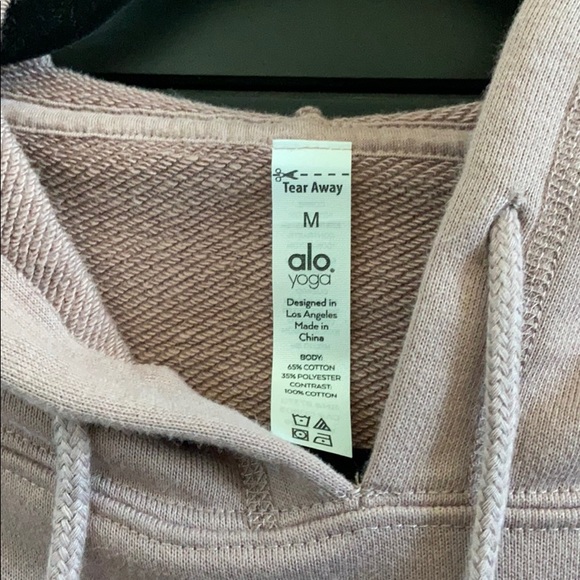 Alo Yoga Box Hoodie Smokey Quartz - Picture 3 of 8